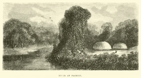 River at Pachiri